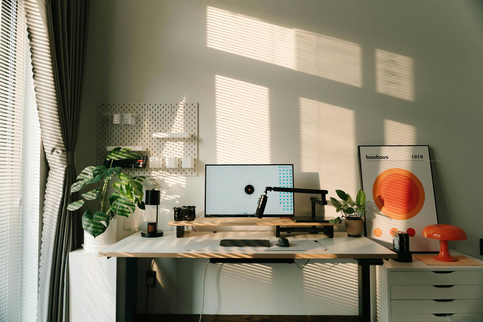 Contemporary home office setup with plants, minimalistic design, and warm sunlight.