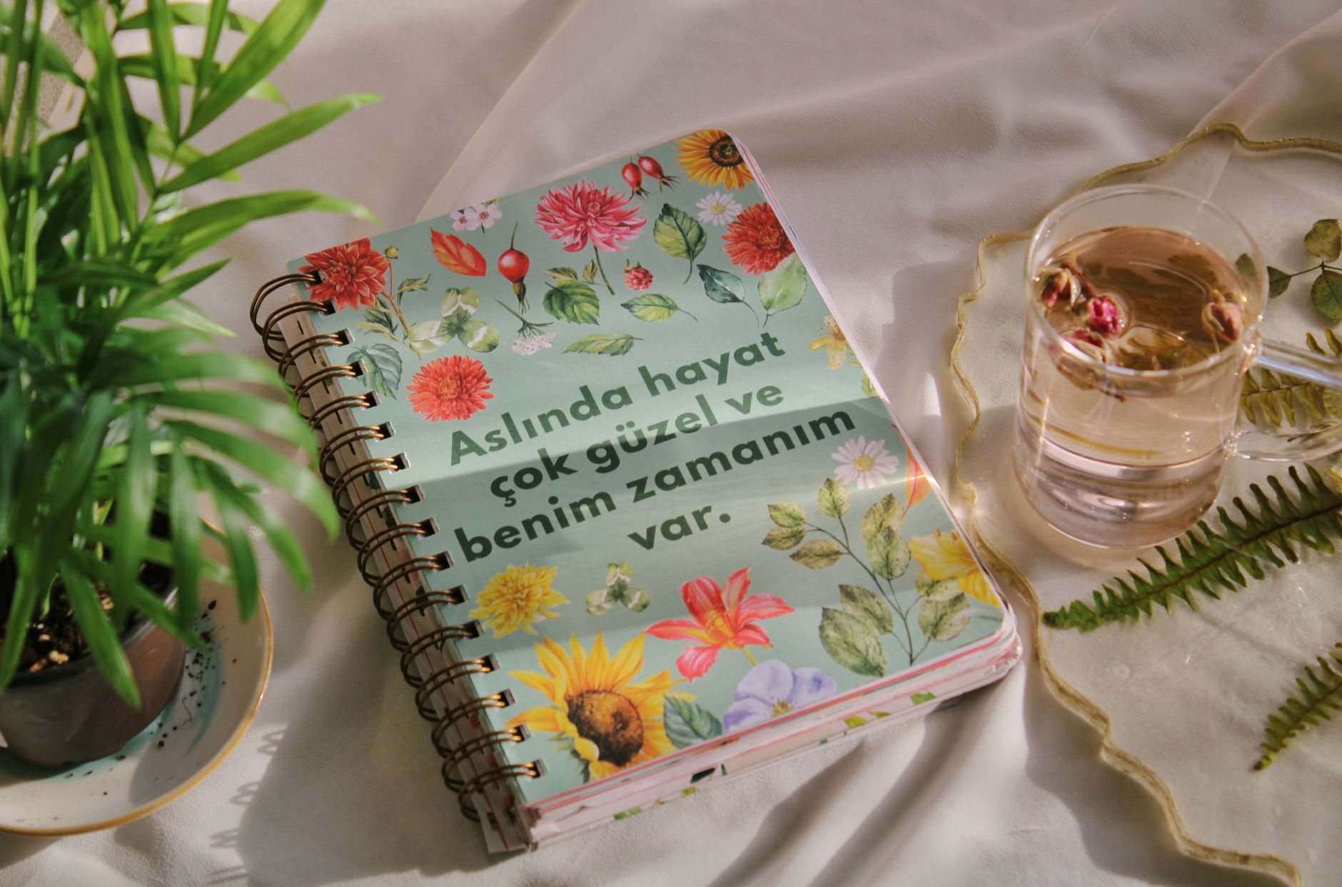 Floral notebook and herbal tea beside a potted plant on a sunny table setting.