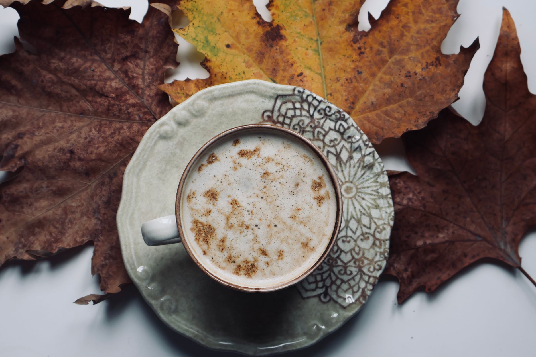 Cozy autumn scene with coffee and fallen leaves on a textured plate.
