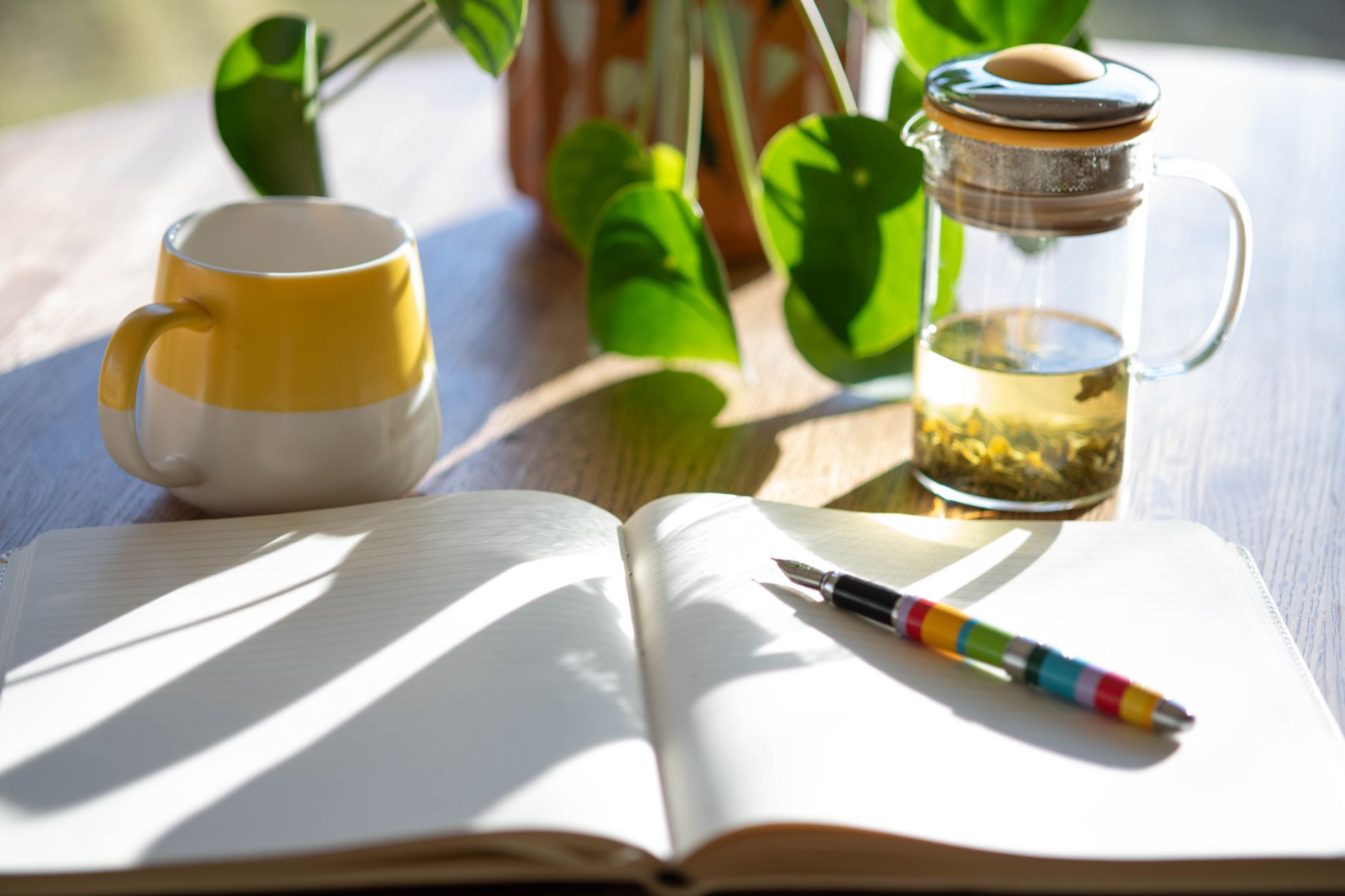 Sunlit desk with a notebook, colorful pen, mug, tea infuser, and green plant leaves.